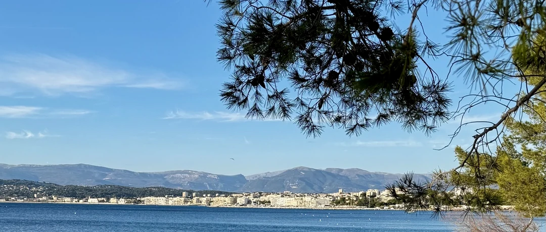 Coastal outlook from a wooded Riviera shore towards Cannes